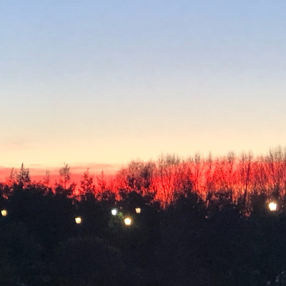 Meet your Posher, artlived - Picture 11 of 13